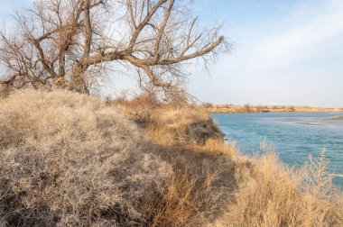 nehir bahar. bahar Nehri Orta Asya'da. Kazakistan bozkır nehir Semirechye. 