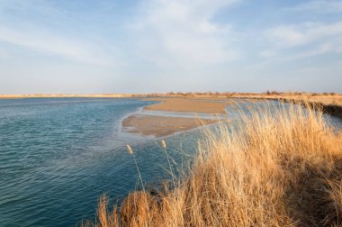 nehir bahar. bahar Nehri Orta Asya'da. Kazakistan bozkır nehir Semirechye. 