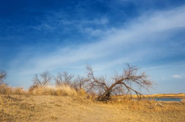 nehir bahar. bahar Nehri Orta Asya'da. Kazakistan bozkır nehir Semirechye. 