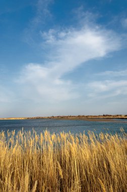 nehir bahar. bahar Nehri Orta Asya'da. Kazakistan bozkır nehir Semirechye. 