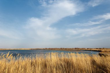 nehir bahar. bahar Nehri Orta Asya'da. Kazakistan bozkır nehir Semirechye. 