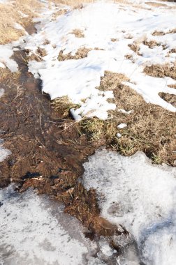 su küçük bir nehir erken ilkbahar akarsu. Bahar sahne. donmuş bir dere ile dağ manzarası
