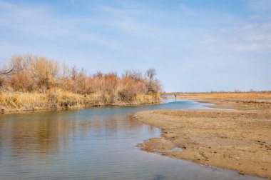 bahar bozkır. Doğa kıştan sonra uyanır. çölde ağaçlar geçen yılki çim