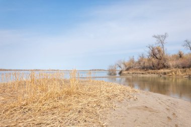 nehir bahar. bahar Nehri Orta Asya'da. Kazakistan bozkır nehir Semirechye. 