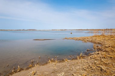 nehir bahar. bahar Nehri Orta Asya'da. Kazakistan bozkır nehir Semirechye. 