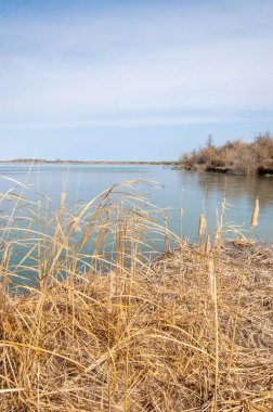 nehir bahar. bahar Nehri Orta Asya'da. Kazakistan bozkır nehir Semirechye. 