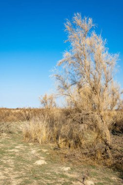 Sıcak, sevgi güneş son bahar kar