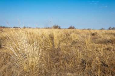 Sıcak, sevgi güneş son bahar kar
