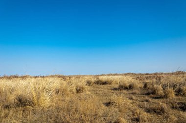 Sıcak, sevgi güneş son bahar kar