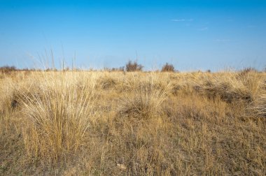 Sıcak, sevgi güneş son bahar kar