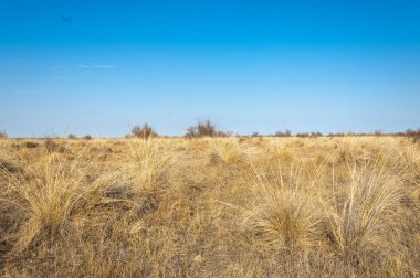 Sıcak, sevgi güneş son bahar kar