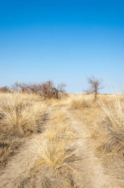 Sıcak, sevgi güneş son bahar kar
