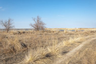 bahar bozkır nehirde. nehir sazlık ile büyümüş. saf zümrüt sudur