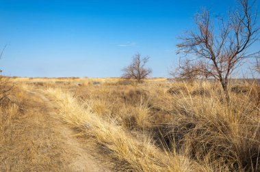 bahar bozkır nehirde. nehir sazlık ile büyümüş. saf zümrüt sudur