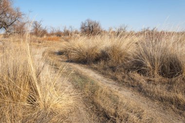Sıcak, sevgi güneş son bahar kar