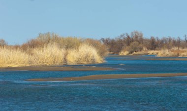 bahar bozkır nehirde. nehir sazlık ile büyümüş. saf zümrüt sudur