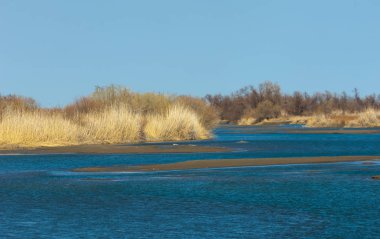 bahar bozkır nehirde. nehir sazlık ile büyümüş. saf zümrüt sudur