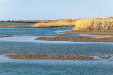 bahar bozkır nehirde. nehir sazlık ile büyümüş. saf zümrüt sudur