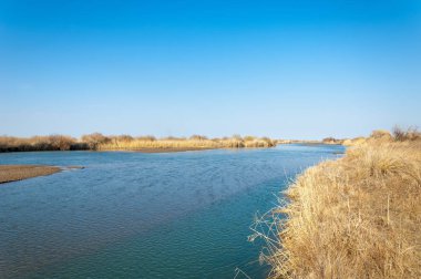 bahar bozkır nehirde. nehir sazlık ile büyümüş. saf zümrüt sudur