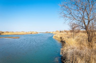 bahar bozkır nehirde. nehir sazlık ile büyümüş. saf zümrüt sudur