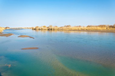 bahar bozkır nehirde. nehir sazlık ile büyümüş. saf zümrüt sudur