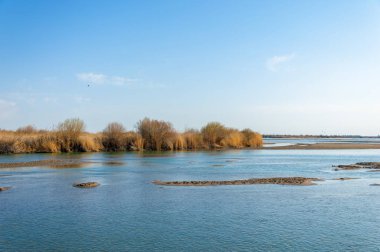 bahar bozkır nehirde. nehir sazlık ile büyümüş. saf zümrüt sudur