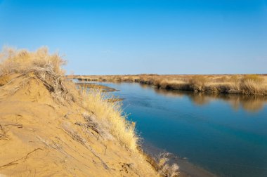 bahar bozkır nehirde. nehir sazlık ile büyümüş. saf zümrüt sudur