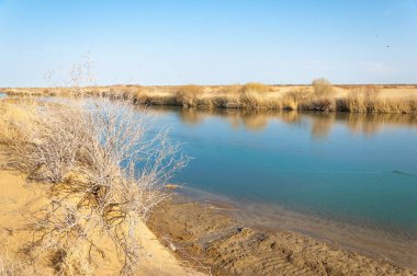 bahar bozkır nehirde. nehir sazlık ile büyümüş. saf zümrüt sudur