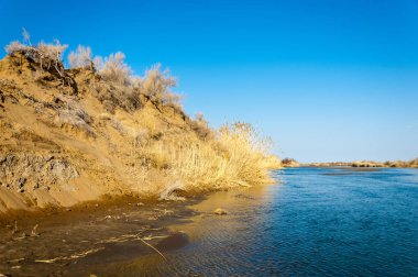 bahar bozkır nehirde. nehir sazlık ile büyümüş. saf zümrüt sudur