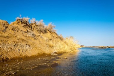bahar bozkır nehirde. nehir sazlık ile büyümüş. saf zümrüt sudur