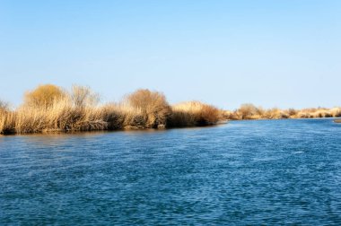 bahar bozkır nehirde. nehir sazlık ile büyümüş. saf zümrüt sudur