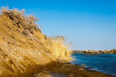 bahar bozkır nehirde. nehir sazlık ile büyümüş. saf zümrüt sudur