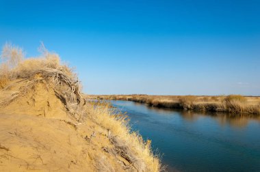 bahar bozkır nehirde. nehir sazlık ile büyümüş. saf zümrüt sudur