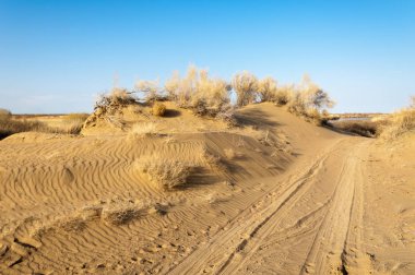 bahar bozkır nehirde. nehir sazlık ile büyümüş. saf zümrüt sudur