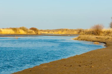 bahar bozkır nehirde. nehir sazlık ile büyümüş. saf zümrüt sudur