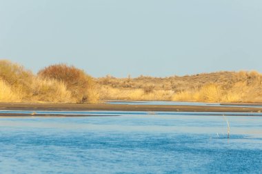bahar bozkır nehirde. nehir sazlık ile büyümüş. saf zümrüt sudur