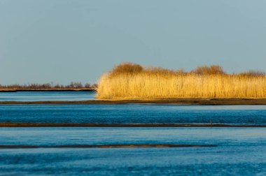 bahar bozkır nehirde. nehir sazlık ile büyümüş. saf zümrüt sudur