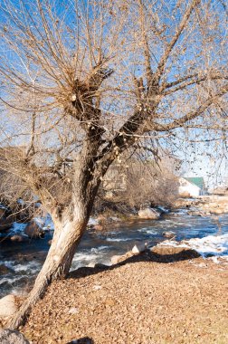 su küçük bir nehir erken ilkbahar akarsu. Bahar sahne. donmuş bir dere ile dağ manzarası