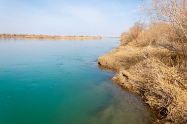 bahar bozkır nehirde. nehir sazlık ile büyümüş. saf zümrüt sudur