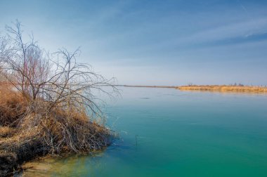bahar bozkır nehirde. nehir sazlık ile büyümüş. saf zümrüt sudur