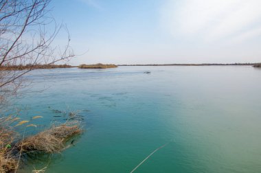 bahar bozkır nehirde. nehir sazlık ile büyümüş. saf zümrüt sudur