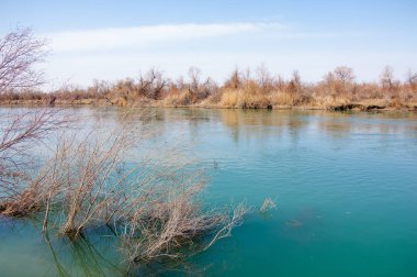 bahar bozkır nehirde. nehir sazlık ile büyümüş. saf zümrüt sudur