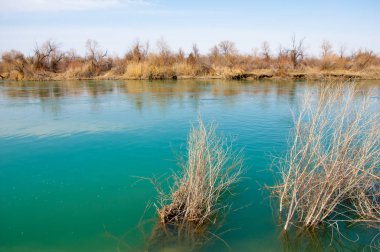 bahar bozkır nehirde. nehir sazlık ile büyümüş. saf zümrüt sudur