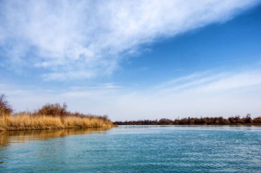 bahar bozkır nehirde. nehir sazlık ile büyümüş. saf zümrüt sudur