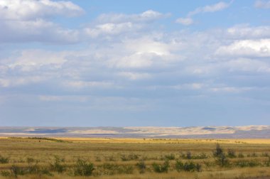 Woodless, zavallı nemi ve genellikle düz ile kuru iklim bölgesinde otsu bitki örtüsü bozkır. çayır, veld, veldt