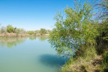 Bozkır nehir sazlık yaz. nehir görünümünde kez izlendi. küçük mavi nehir kıyısında güneşli bir gün