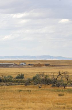 Woodless, zavallı nemi ve genellikle düz ile kuru iklim bölgesinde otsu bitki örtüsü bozkır. çayır, veld, veldt