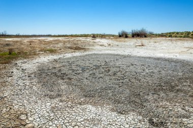 tuzlu su, tuz bataklığı. Etkin badlands. Tek çalı. Kazakistan