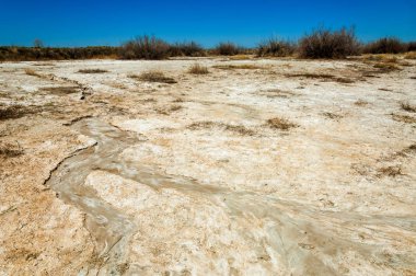tuzlu su, tuz bataklığı. Etkin badlands. Tek çalı. Kazakistan