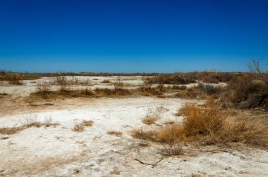 tuzlu su, tuz bataklığı. Etkin badlands. Tek çalı. Kazakistan